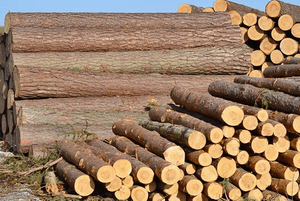 Wood Industry.png